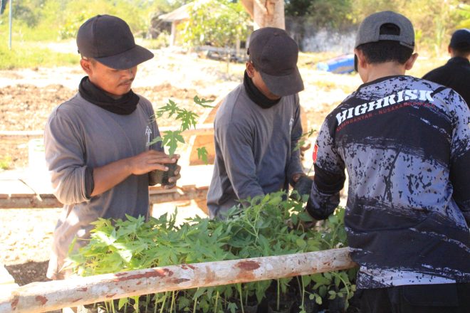 Dukung Program Ketahanan Pangan Nasional, Kemenkumham Jateng Dorong Lapas Karanganyar Manfaatkan Lahan Kosong