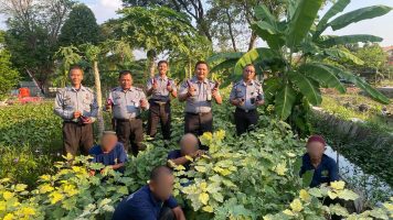 Panen Buah dan Sayuran, Kemenkumham Jateng Dorong Lapas Purwodadi Wujudkan Program Ketahanan Pangan Nasional