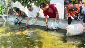 Kemenkumham Jateng Bina Lapas Pati Tebar 25 Ribu Benih Lele Untuk Pembinaan Warga Binaan