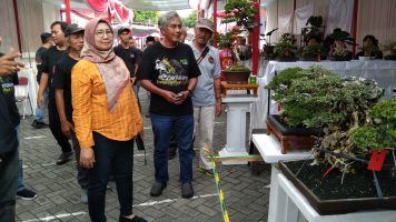 Dispertan Kota Semarang Gelar Ajang bergengsi Tanaman Hias Jenis Bonsai